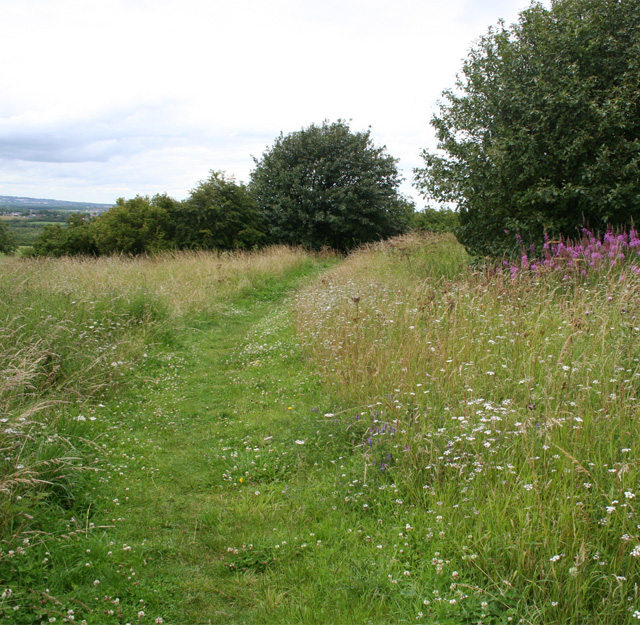 A footpath through a field.