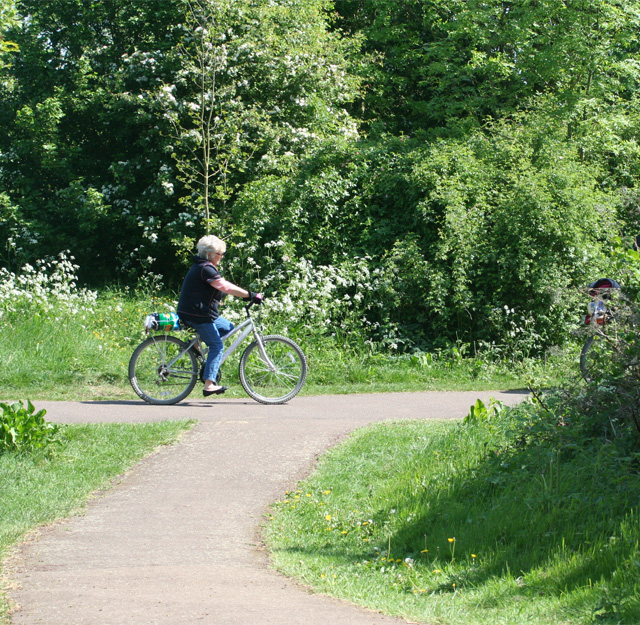 A woman cycling in parkland.