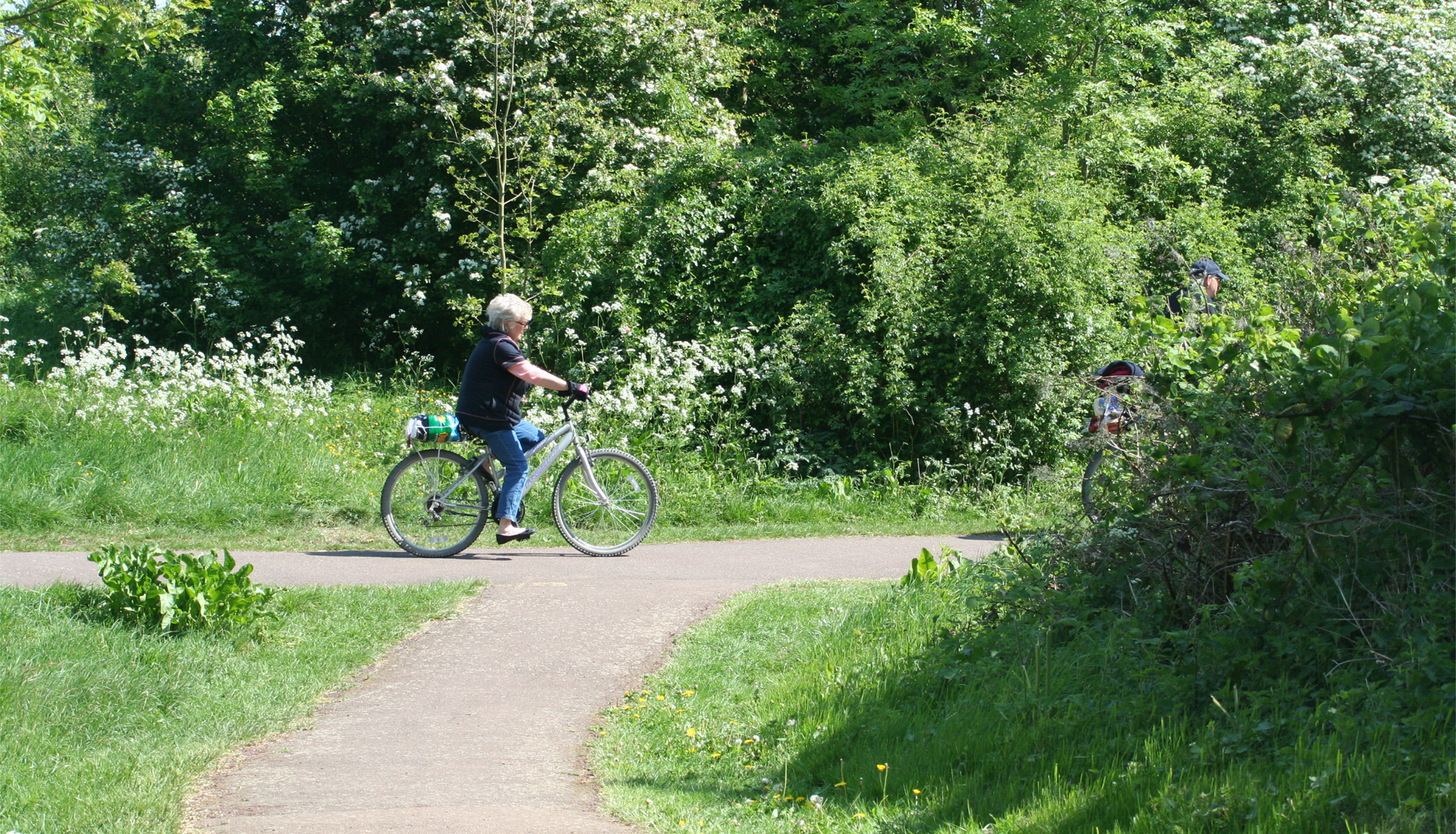 A woman cycling in parkland.