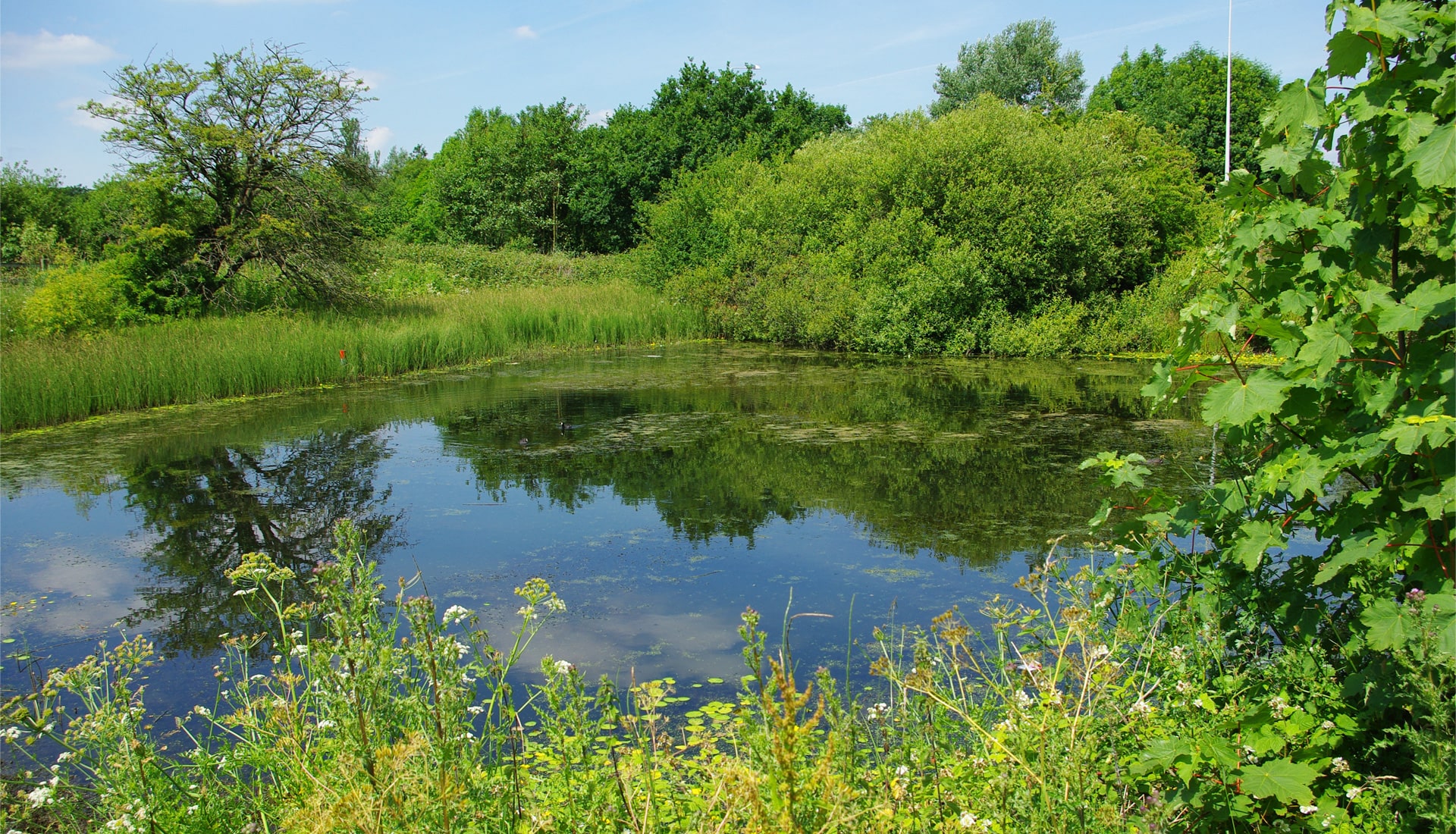A lake surrounded by grasslands and trees.